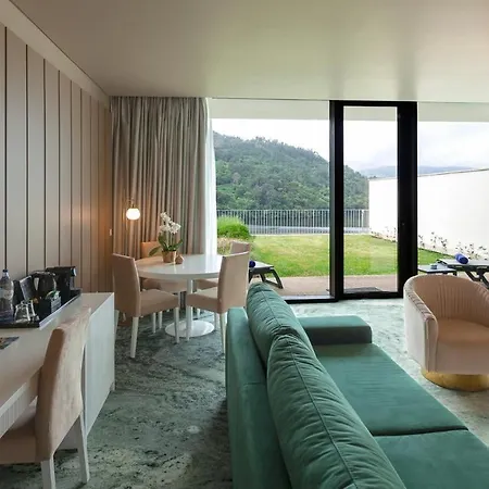 Douro Royal Valley Hotel&spa Hotel Ribadouro