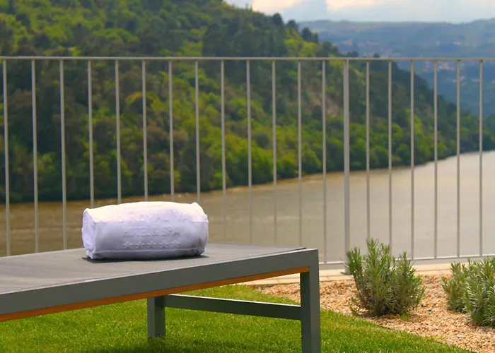 Hotel Douro Royal Valley & Ribadouro