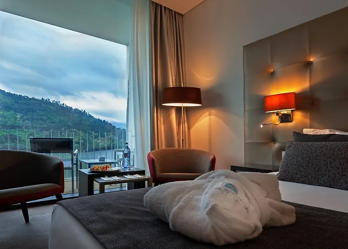 Hotel Douro Royal Valley &
