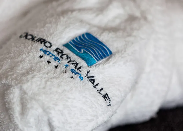 Hotel Douro Royal Valley & Ribadouro