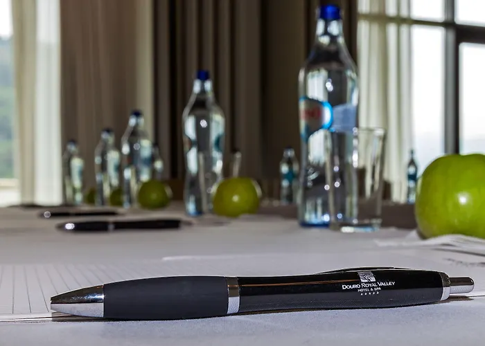 Douro Royal Valley & Hotel Ribadouro