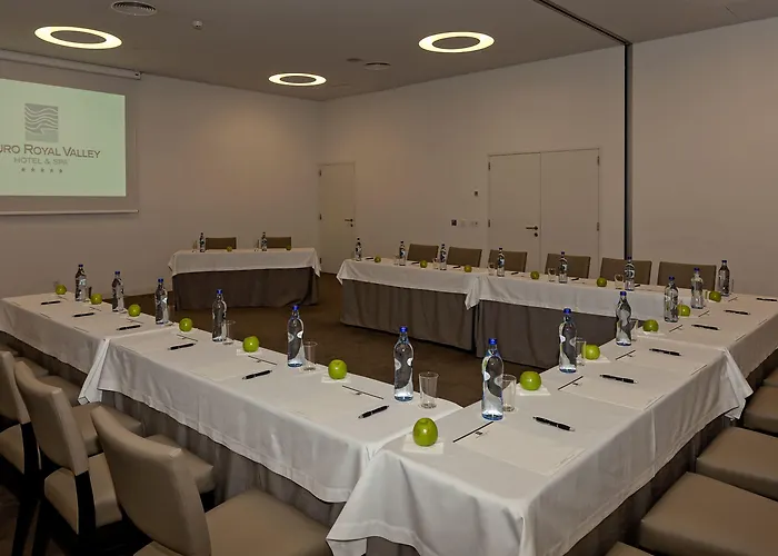 Hotel Douro Royal Valley & Ribadouro